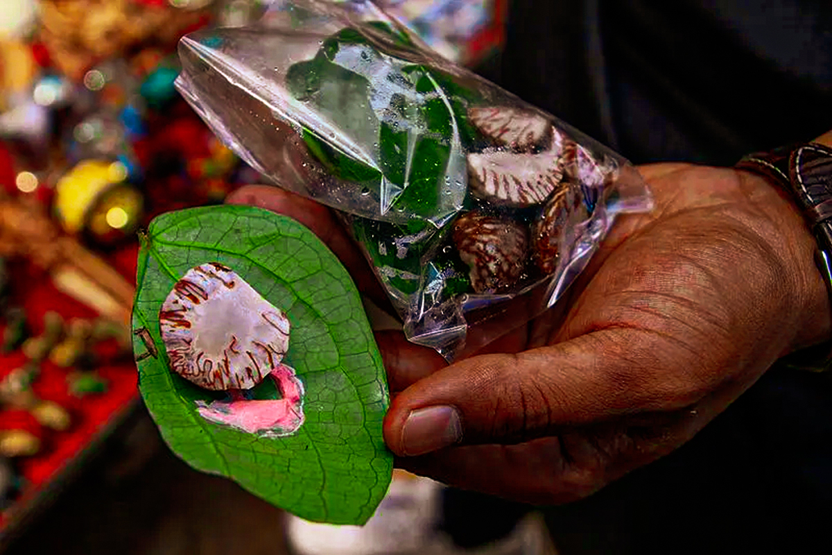 Doma is a popular after-meal treat in Bhutan and consists of betel nut wrapped in betel leaf 